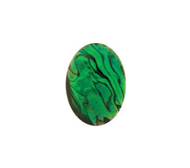 Paua Shell  Green - 7x9 Oval