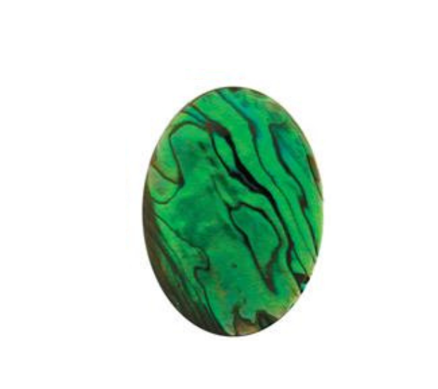 Paua Shell  Green - 15x20 Oval
