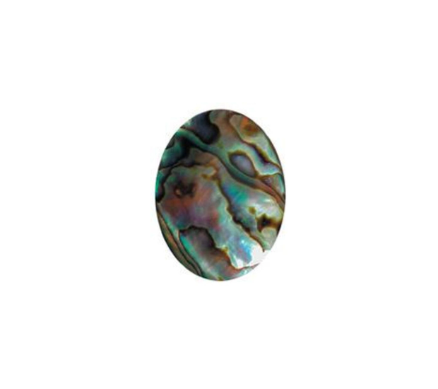 Paua Shell Natural - 4x6 Oval