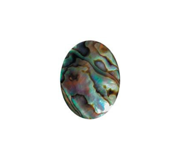Paua Shell Natural - 5x7 Oval