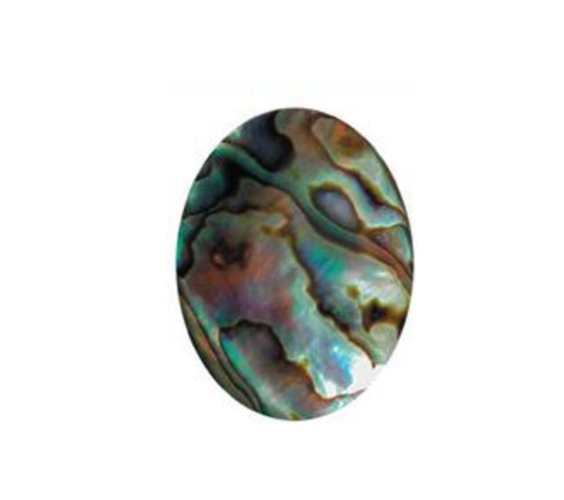 Paua Shell Natural - 6x18 Oval