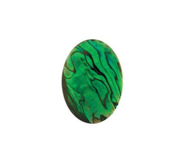 Paua Shell Green - 8mm Round