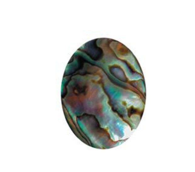 Paua Shell Natural - 15x20 Oval