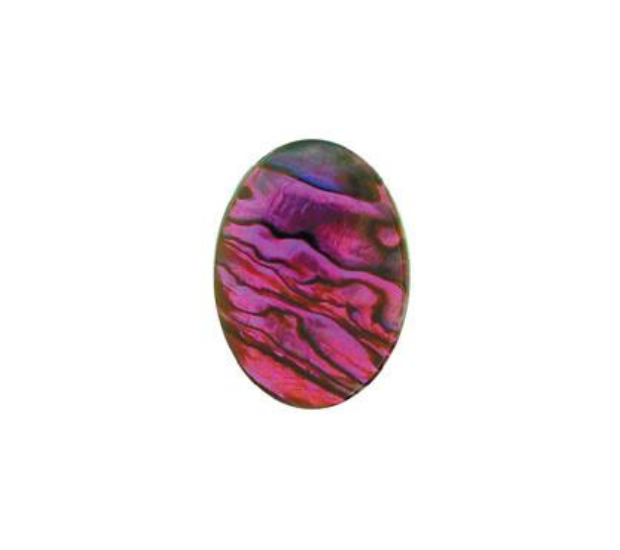 Purple Paua Shell Oval High Quality Cabochon Calibrated - 8x10
