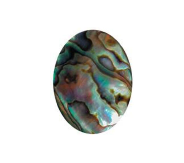 Paua Shell Natural - 18 x 25 Long Oval