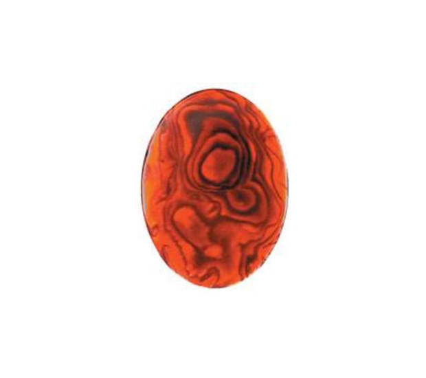 Paua Shell Red - 7x9 Oval