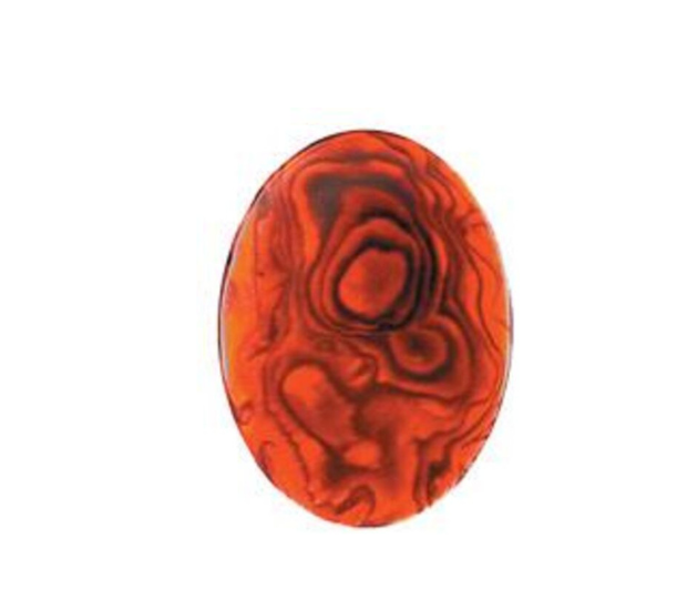 Paua Shell Red - 22x30 Oval
