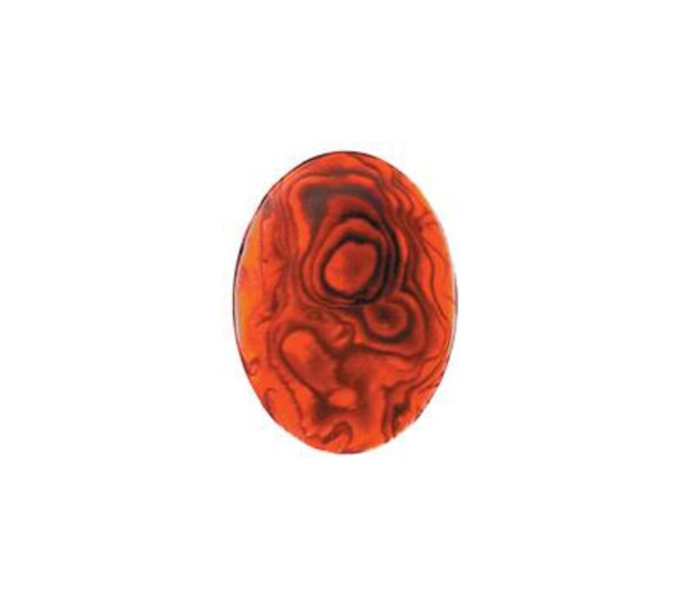 Paua Shell Red - 5mm Round