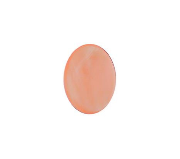 Pink Mussel  Shell - 5x7 Oval