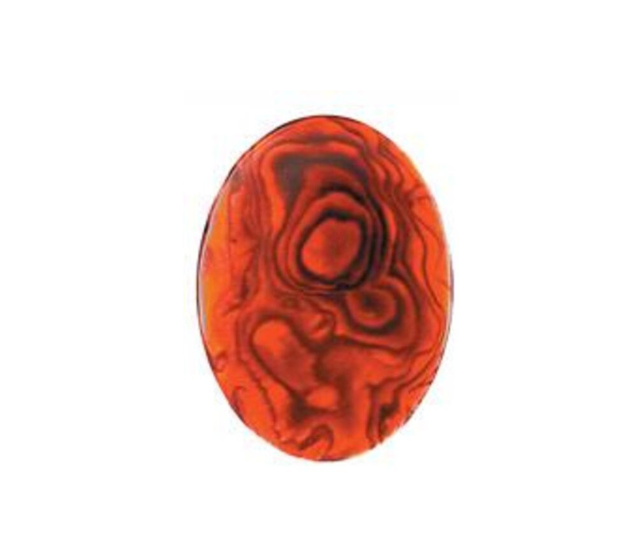 Paua Shell Red - 10mm Round