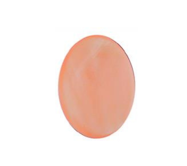Pink Mussel  Shell - 13x18 Oval