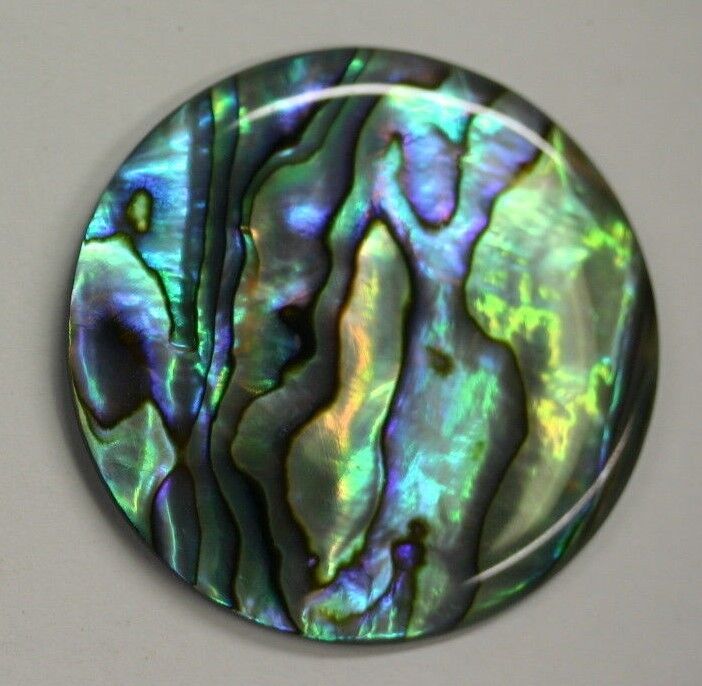 Natural Abalone Paua Shell Round Cabochon  - 18mm