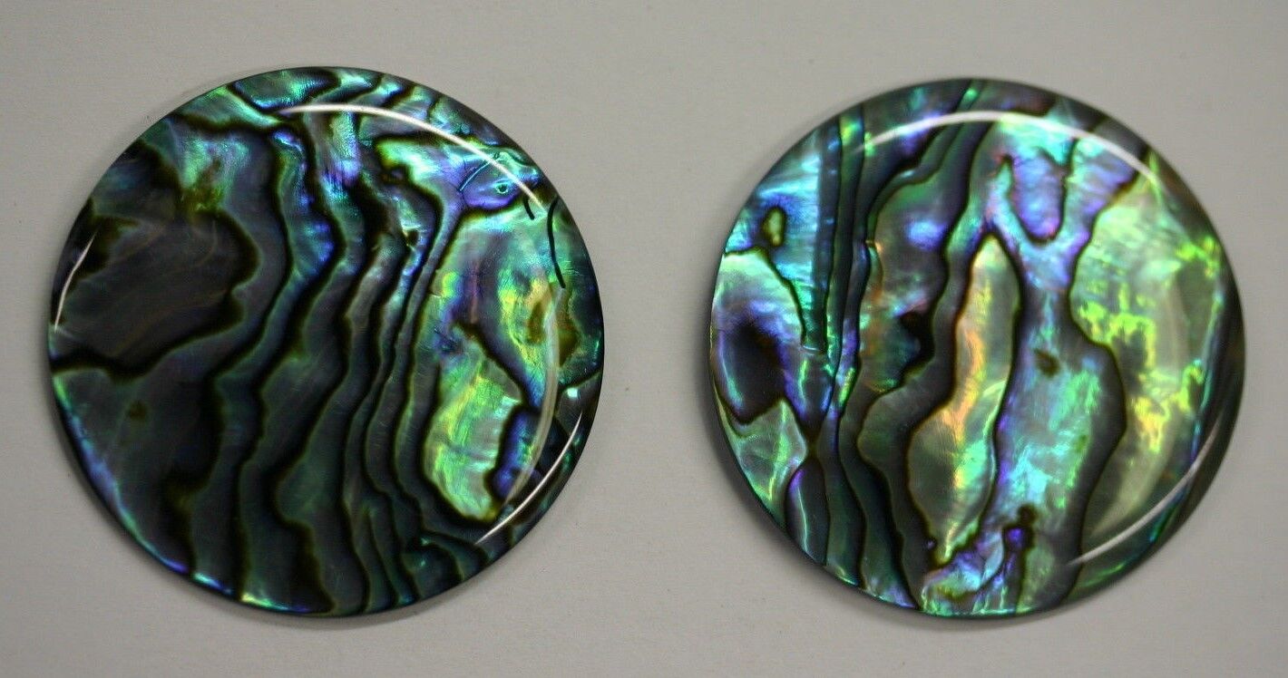 4 Natural Abalone Paua Round Cabochon 12mm