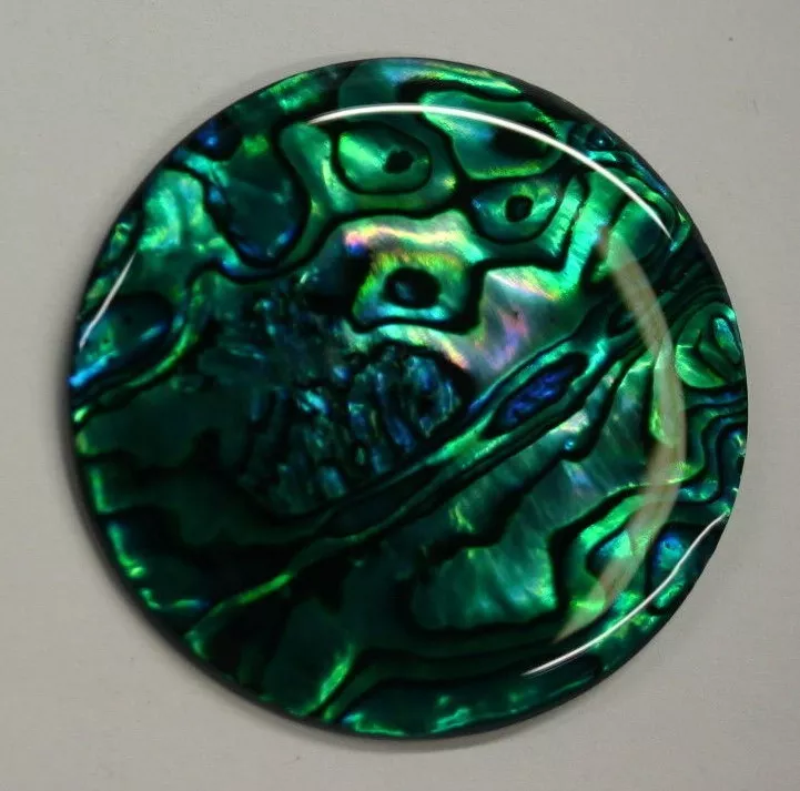 4pcs Green Paua Shell Round Cabochon 7mm