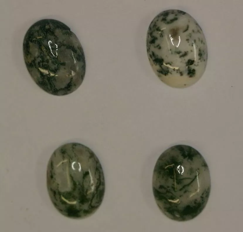 2pcs 13x18mm Natural Tree Agate Calibrated Oval Cabochon Gemstones Cab Jewelry