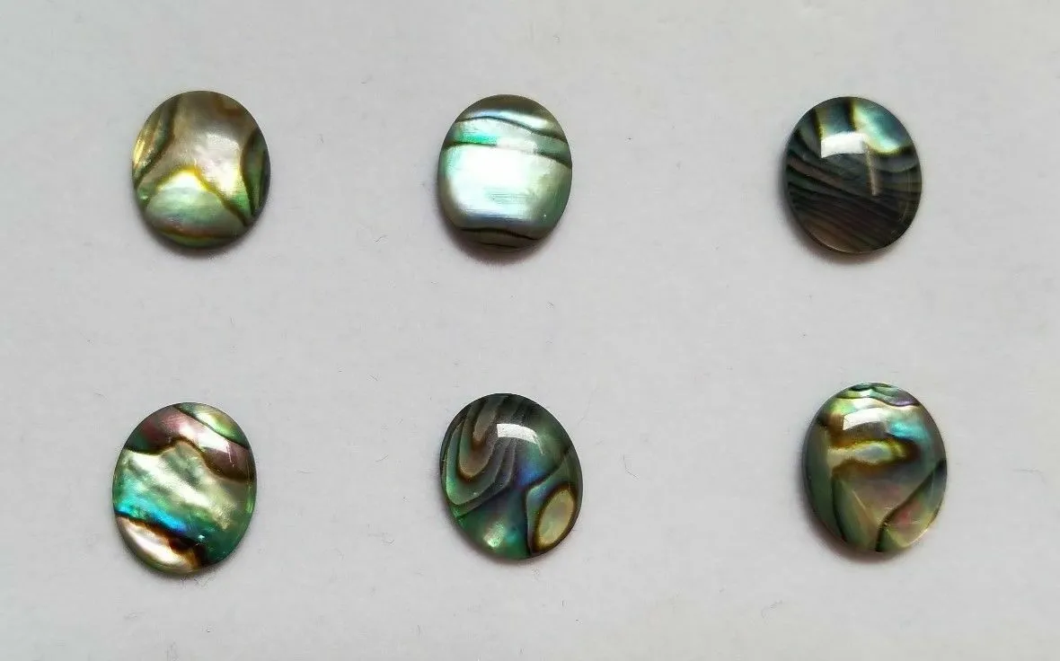 6pcs 15x20mm Natural Paua Shell Abalone Calibrated Oval Cabochon Gems Jewelry