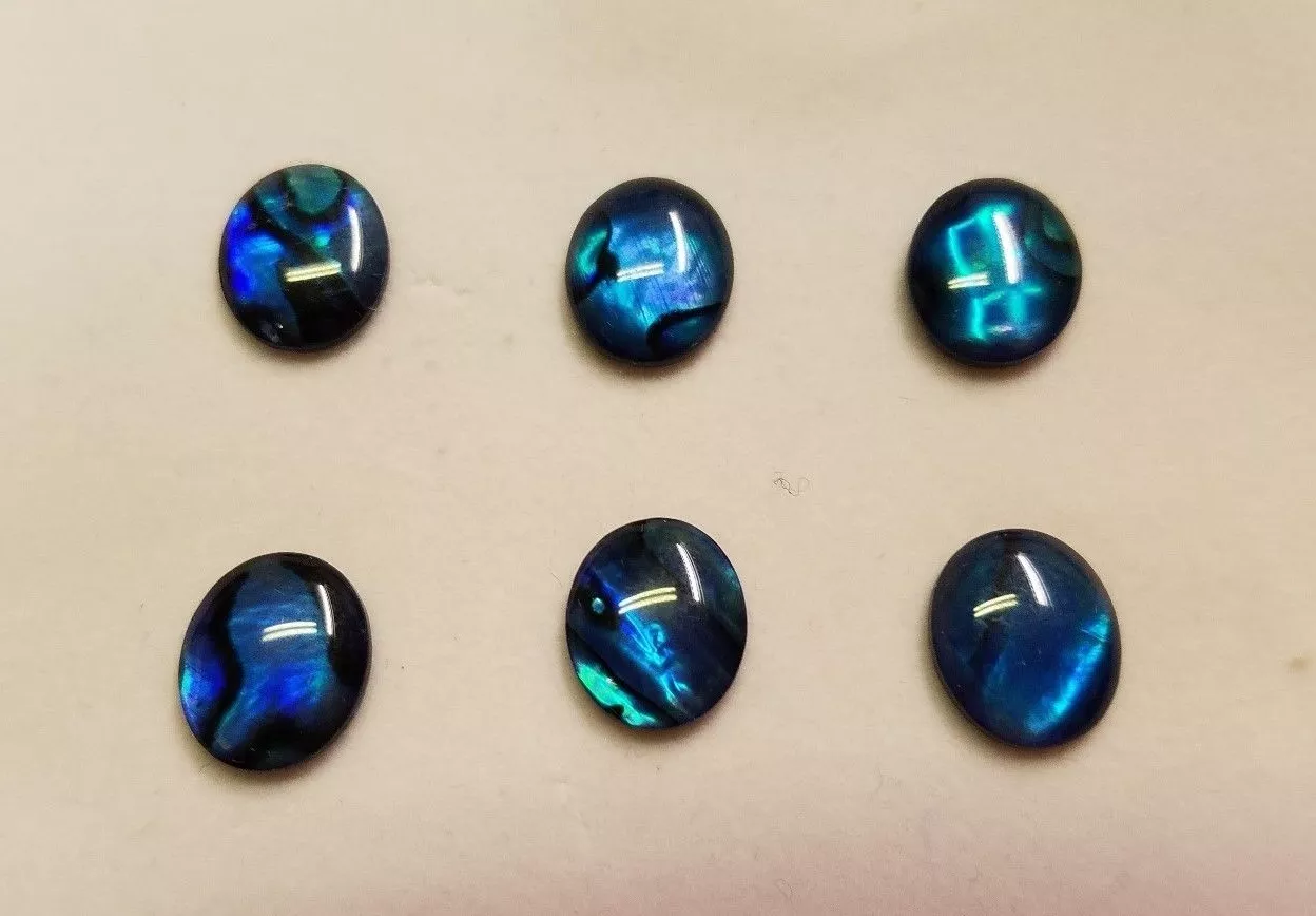 10 Blue Paua Shell Oval Cabochon High Quality 10x12mm Cabochons
