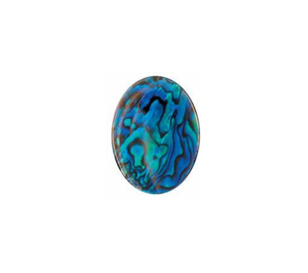 Paua Shell Blue - 6x9 Tear