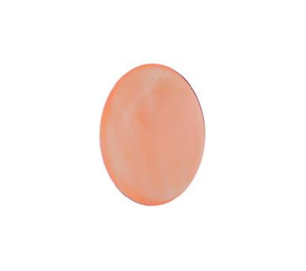 Pink Mussel Shell - 10x12 Oval