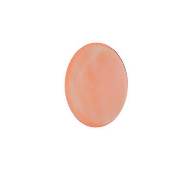 Pink Mussel Shell - 5x15 Long Oval