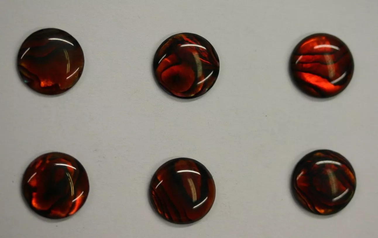 4pcs Red Paua Shell Round Cabochon 14mm  Jewelry