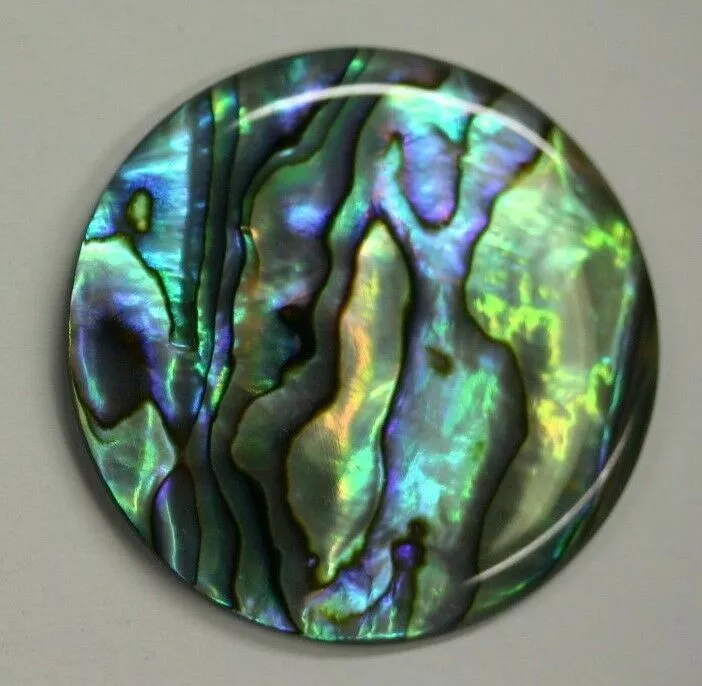 20mm Natural Paua Shell Abalone Calibrated Round Cabochon Gemstones Gems Jewelry
